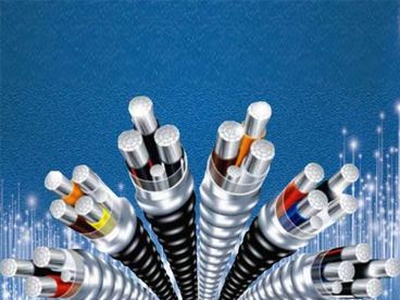 【前景】未來5年中國電線電纜市場將年增8-9%